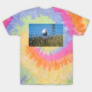 White Ibis At The Edge of Laguna Madre T-Shirt